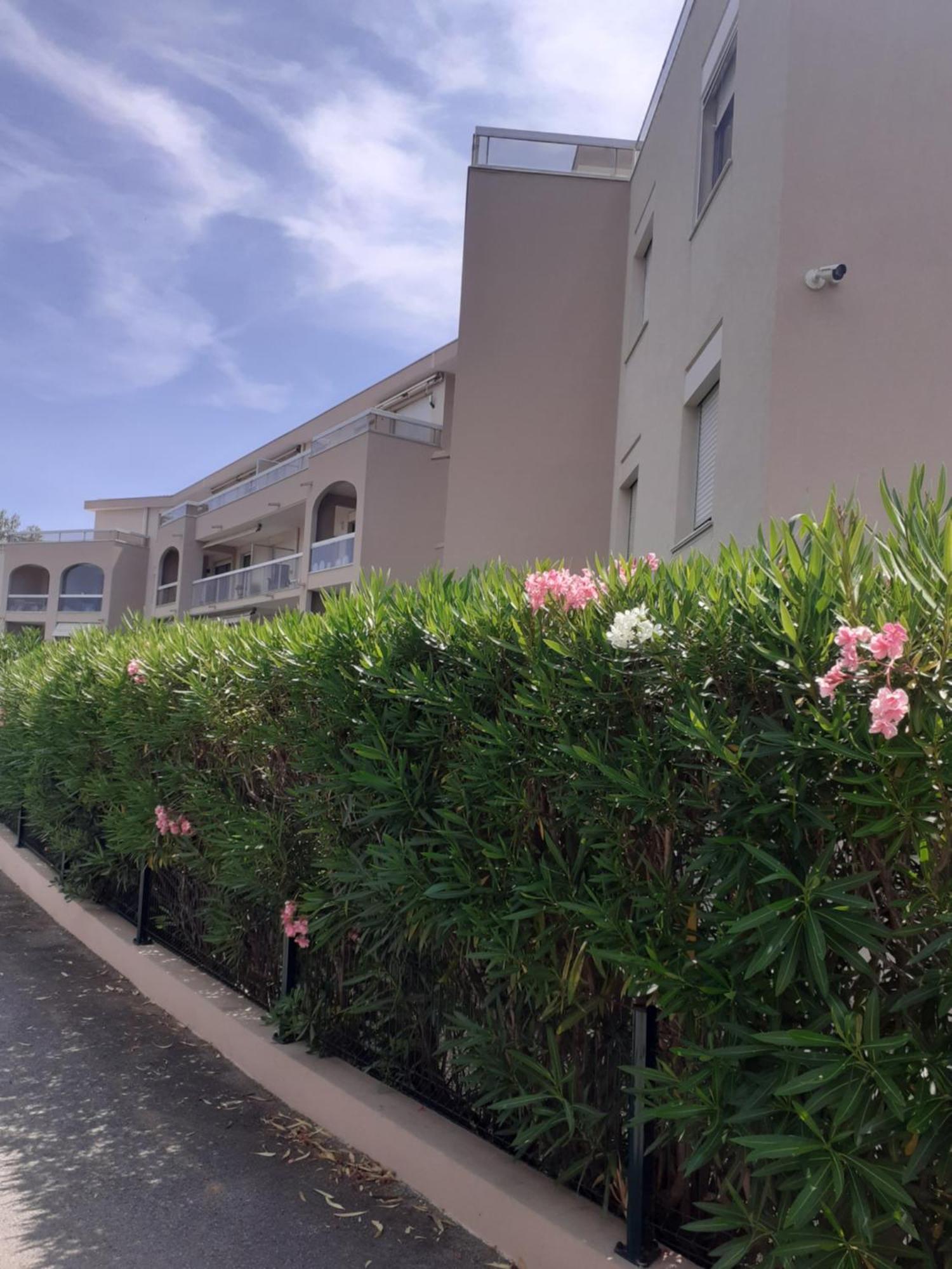 T2 Bord de mer avec jardin Saint Aygulf Exteriör bild